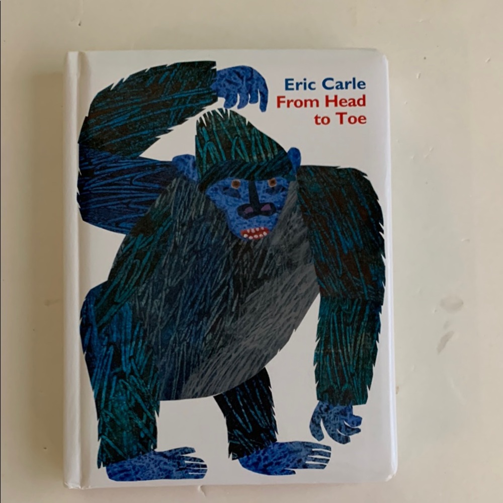 From Head to Toe Children’s Book